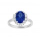 Tanzanite and Diamond Halo Ring 23743